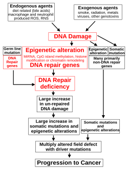 The central role of DNA damage and epigenetic defects in DNA repair genes in malignant neoplasms