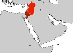Ayyubid territories in 1257. Area in bright red controlled by an-Nasir Yusuf, while the area under dark red was under the nominal control of al-Mughith Umar of Kerak