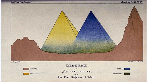 John Hogg's illustration of the Four Kingdoms of Nature, showing "Primigenal" as a greenish haze at the base of the Animals and Plants, 1860