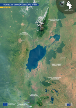 Several national parks in Africa: Virunga National Park, the Rwenzori Mountains National Park, the Queen Elizabeth National Park, the Bwindi Impenetrable National Park and the Volcanoes National Park