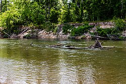 Bogue Chitto State Park