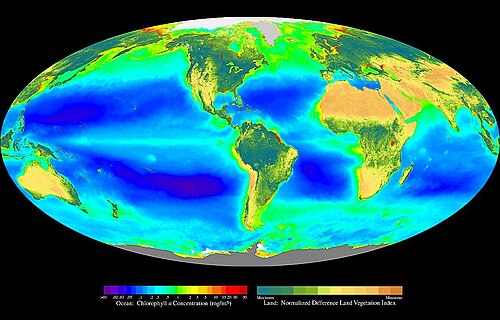Composite image showing the global distribution of photosynthesis, including both oceanic phytoplankton and terrestrial vegetation. Dark red and blue-green indicate regions of high photosynthetic activity in the ocean and on land, respectively.
