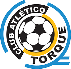 Club crest between 2007 and 2020