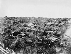 British casualties lie dead on the battlefield after the Battle of Spion Kop, 24 January 1900.