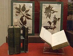 Narrative of the surveying voyages of His Majesty's ships Adventure and Beagle between the years 1826 and 1836. by Robert FitzRoy, published 1839. Cullman Library, SIL exhibition.