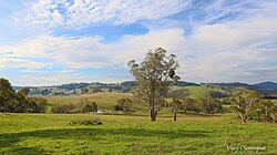 Grazing fields in Oberon