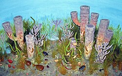 Diorama of the Burgess Shale Biota