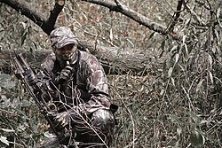 Bowhunter with a compound bow using a call