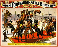 Sells Brothers Circus with Great Danes