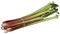 A bundle of rhubarb