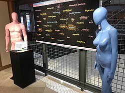 A display on gender identity in the Elmer L. Andersen Library at the University of Minnesota in Minneapolis, Minnesota