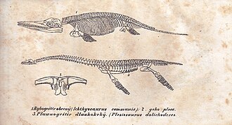 Ichthyosaurus and Plesiosaurus from the 1834 Czech edition of Cuvier's Discours sur les revolutions de la surface du globe