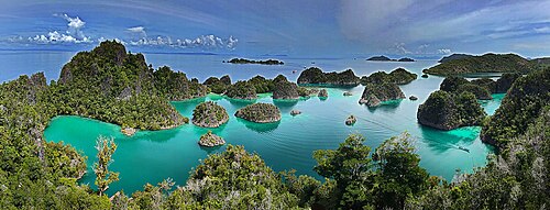 Karst islands covered in green vegetation surrounded by turquoise water in Raja Ampat.