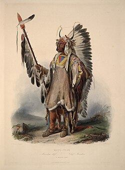 "Mató-Tope, a Mandan chief": aquatint by Karl Bodmer from the book "Maximilian, Prince of Wied's Travels in the Interior of North America, during the years 1832–1834"