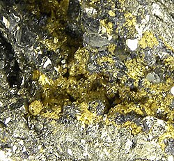 Gold in pyrite