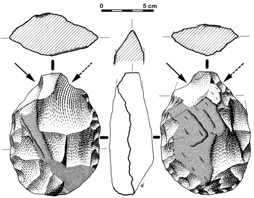 Acheulean hand axe whose point fractured and was reconstructed using a different working