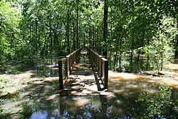 A boardwalk, here flooded, and trails give access to refuge lands to hikers and bird watchers.