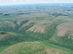 L. dispar defoliation along the Allegheny Front in Pennsylvania (July 2007)