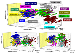 Factor correspondence analysis comparing different individuals from European ancestry groups