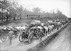 The Serbian Army in retreat, 1915