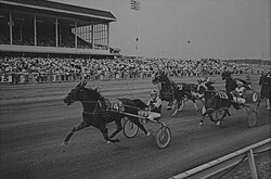 Vernon Downs Race Track
