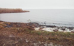 Lake Pontchartrain's north shore at Fontainebleau State Park near Mandeville, Louisiana, in 2004