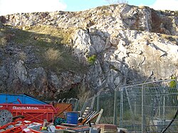 The rocks of Lummaton Quarry in Torquay in Devon played an early role in defining the Devonian Period
