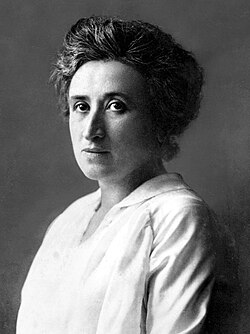 Rosa Luxemburg circa 1911. She was a member of the Spartacus League within the USPD before leaving to co-found the Communist Party of Germany with Karl Liebknecht.