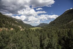 View from the Fall River Road illustrating the montane ecosystem with forested slopes and grassland in between
