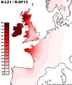 Distribution of Haplogroup R-L21 in Europe