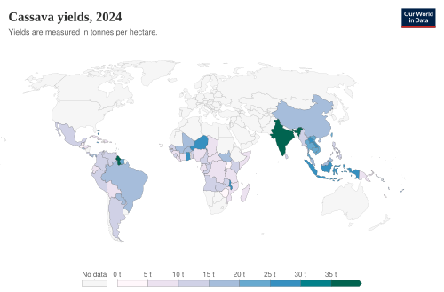Cassava yields