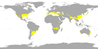Areas of the world with subtropical climates