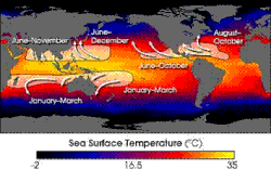 Months of peak tropical cyclone activity worldwide
