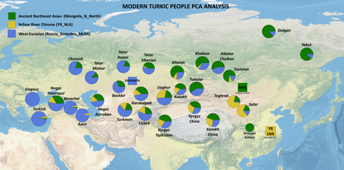 Ancestral composition of modern Turkic‐speaking populations based on supervised admixture, with modeled proportions of Ancient Northeast Asian ancestry (Mongolia_N_North and Ashina, ), as well as Chinese Central Plain millet farmers (YR_LN, ) and West Eurasian‐related ancestry (Russia_Sintashta_MLBA, ).[103]