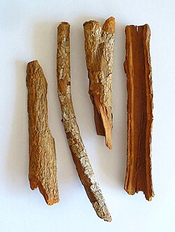 An example of a herbal medicine resource: the bark of the cinchona tree contains quinine, which today is a widely prescribed treatment for malaria. The unpurified bark is still used by some who cannot afford to purchase more expensive antimalarial drugs.