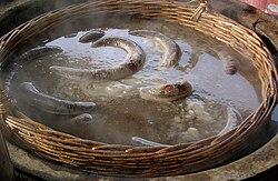 Boiling boudin rouge (red pudding), a Cajun sausage