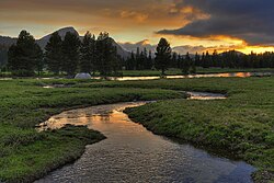 Tuolumne Meadows is an example of a subalpine meadow in the Sierra.