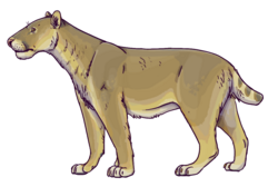 Reconstruction of the sabertooth cat Homotherium