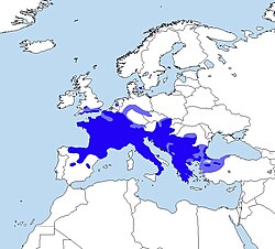 Habitat Map in Europe