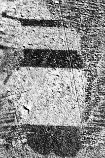 Moving domain walls in a grain of silicon steel caused by an increasing external magnetic field in the "downward" direction, observed in a Kerr microscope. White areas are domains with magnetization directed up, dark areas are domains with magnetization directed down.