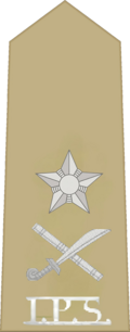 Insignia of an Indian Police Service officer with rank of inspector general of police (Also known as Joint Commissioner of Police in Metro cities like Mumbai or Delhi. Also known as Commissioner in some of the cities where Police Commissionerate system exists but that city is not too small or not too large (For example Gurugram, Kochi)