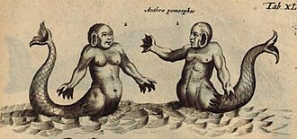 Anthropomorphos―Johannes Jonston Historia naturalis in Latin, 1657[311]