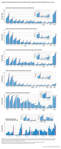 Aquaculture production of selected main species groups by major producer, 2010 - 2024