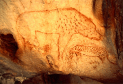 30,000-year-old cave hyena painting found in the Chauvet Cave, France
