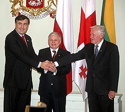 Mikheil Saakashvili, Lech Kaczyński and Valdas Adamkus in Tbilisi, November 2007