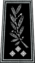 Shoulder insignia of a police inspecteur général (France)