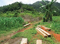 Signs of illegal timber poaching on the boundary of the protected area around the Cagua Volcano, Cagayan, Philippines