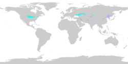 Regions with hot-summer humid continental climates as of 1991-2020, using the −3 °C (27 °F) threshold for the coldest month. Dfa Dwa Dsa