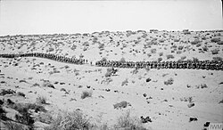February 1917 Infantry marching on the wire road across the desert between Bir el Mazar and Bardawil