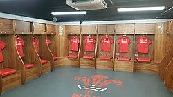 The home dressing room for the Welsh rugby union team, with a modern stylised version of the badge printed on its floor